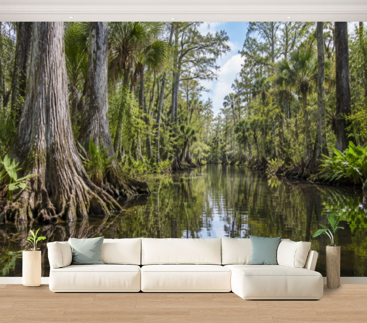 Wall Mural cypress tree swamp Large Peel and Stick Wallpaper florida ...