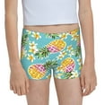 Easygdp Cute Pineapples Girls Hipster Cotton Underwear Little Girls
