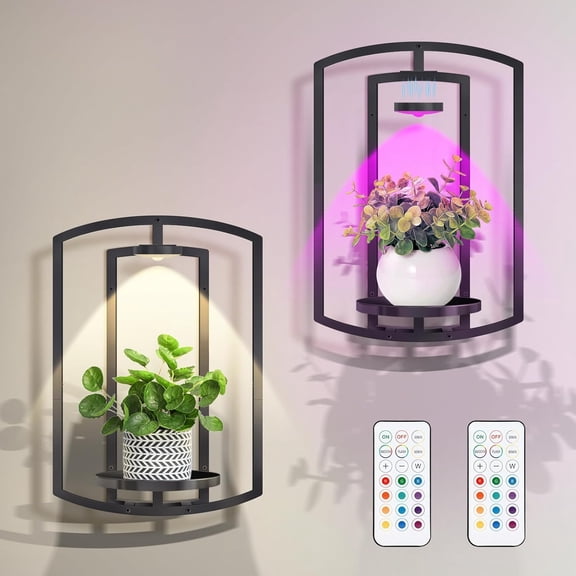 Wall Plant Holder with Remote Grow Lights, Framed Plants Holder for Indoor Plants Wall Decor, Living Room Plant Stand, Window Plant Shelves, 1 Pack