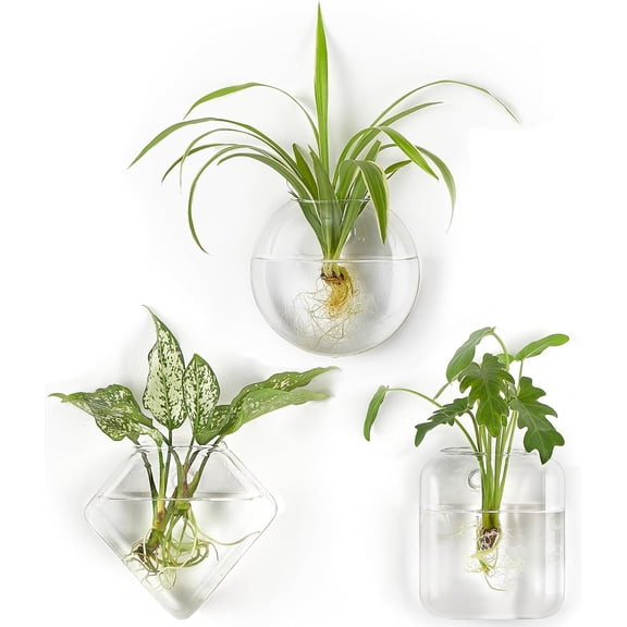 Wall Planter Propagation Stations Hanging Glass Terrariums Vase Container for Propagating Hydroponic Plants Flowers Home Office Living Room Bathroom Garden Decor, 3 Pack(Plants not Included)