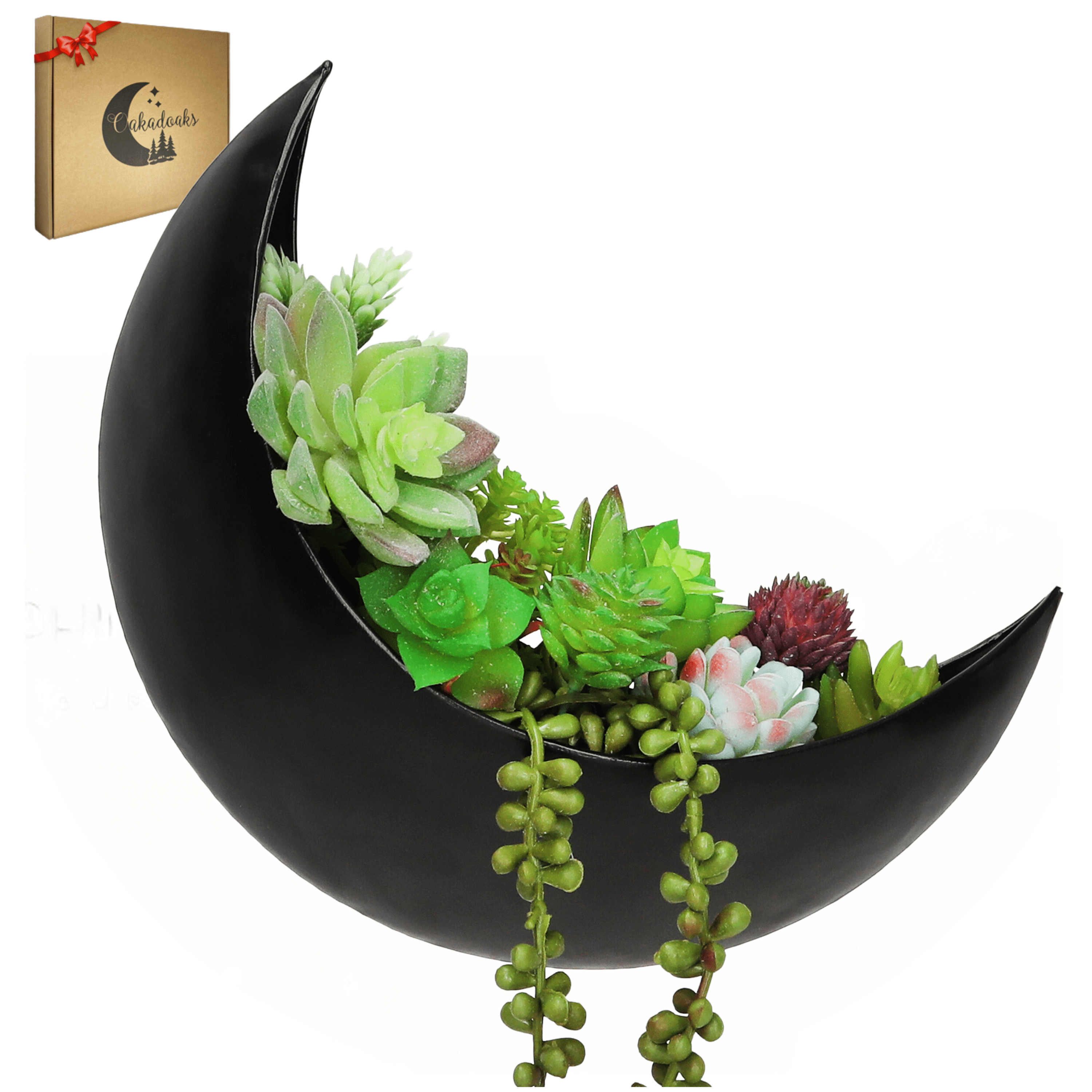 Sleek Black Crescent Moon Metal Hanging Planter
