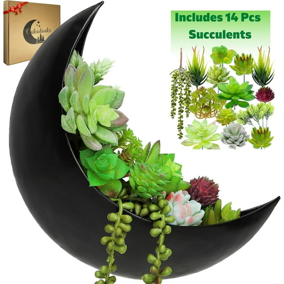 Wall Planter - Window Planter - 14Pcs Artificial Succulents - Hanging Moon Planter - Boho Hanging Planters for Indoor , Air , Cactus, Faux, Unique Gifts for Women, Birthdays,  Lovers