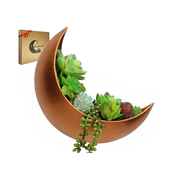 Wall Planter - Window Planter - Hanging Moon Planter - Boho Hanging Planters for Indoor Plants, Succulents, Air Plant, Cactus, Faux, Artificial Plants -Witchy Gifts for Women, Birthdays,Plant Lovers