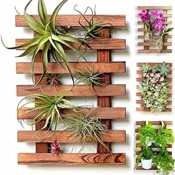 Wall Planter – Wooden Air Plant Succulent Holder Hanger Indoor Outdoor, Live Orchid Wall Wood Display Frame Vertical Garden Balcony Deck Bathroom Macetas para Plantas De Aire 15.7" (40cm)