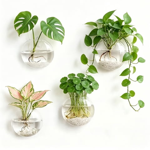 Naeqieo 4 Pack Wall Propagation Planters, Wall Planters for Indoor Plants, Oblate Hanging Plant Holder Vase, Hydroponic Indoor Flowers, Bathroom Living Room Office DecorExcludes Plants
