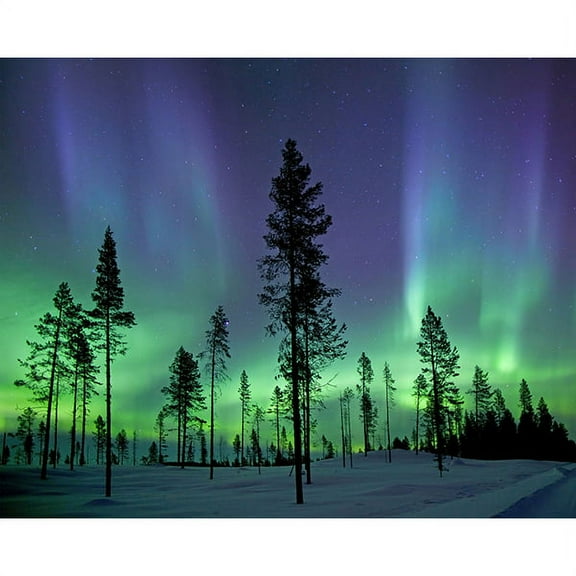 Wall Rogues Aurora Borealis/ Northern Lights Wall Mural, 94-in by 118-in, 77.03 sq. ft.