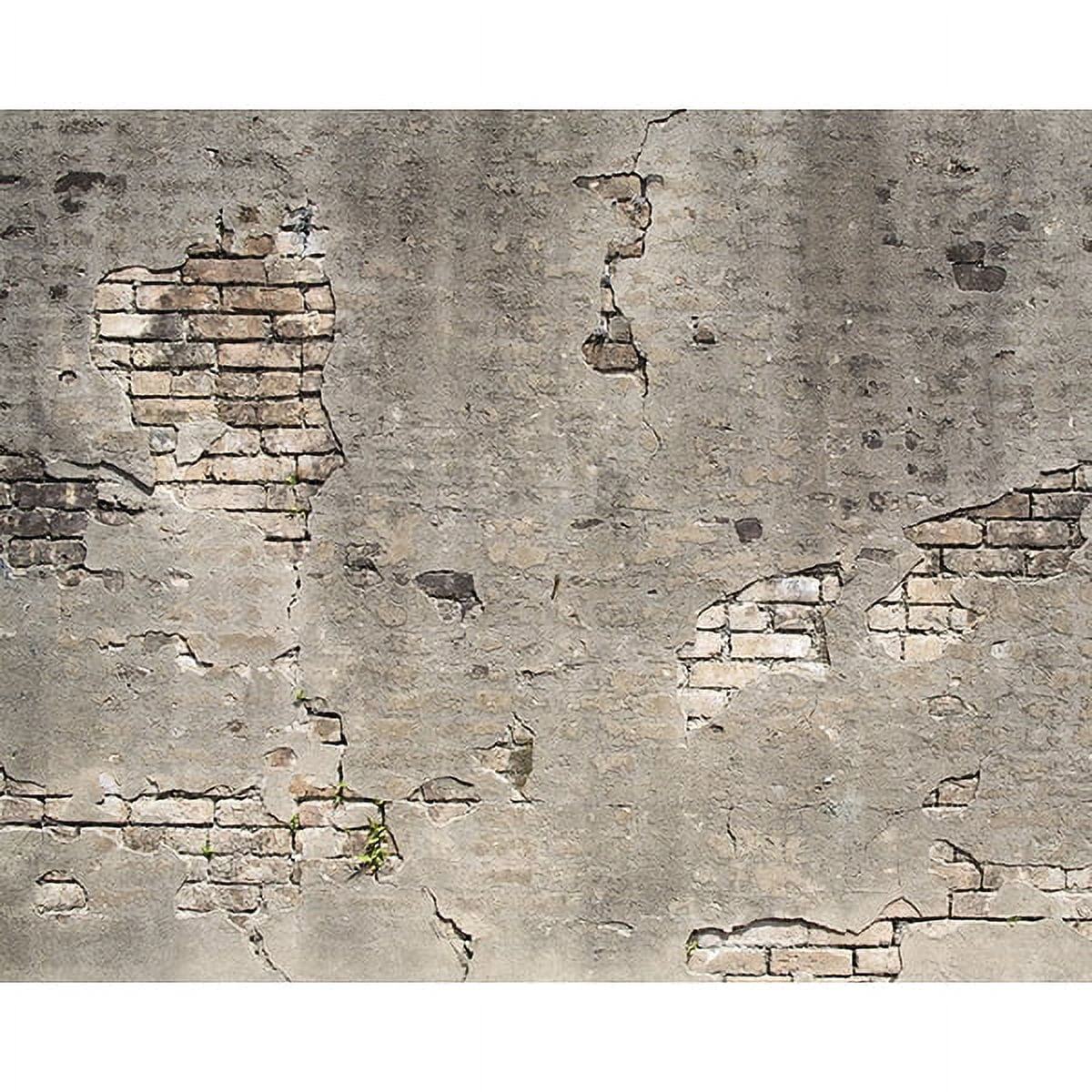 Grey Broken Concrete Industrial Wall Mural