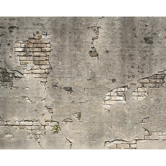 Wall Rogues Brown Dinosaurs Kids Unpasted Non Woven Wall Mural, 94-in by 118-in