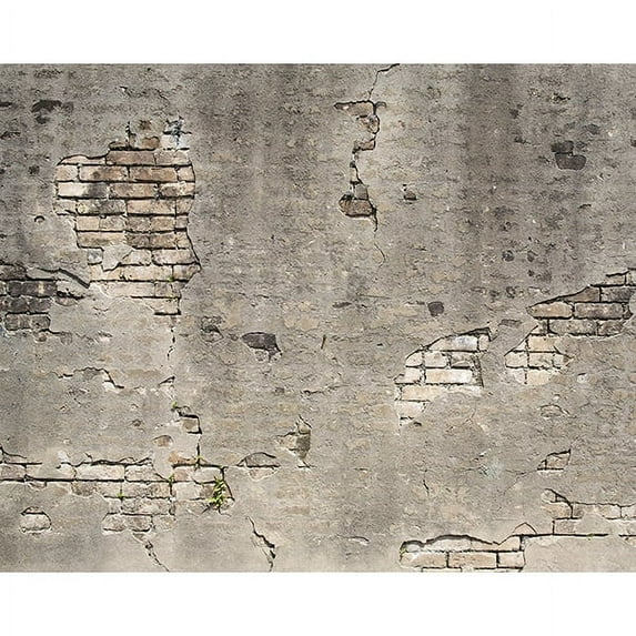 Wall Rogues Brown Dinosaurs Kids Unpasted Non Woven Wall Mural, 94-in by 118-in