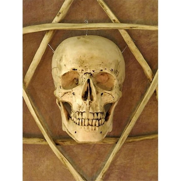 Wall Sconce, Life-Size Skull in Hexagram Bone Frame
