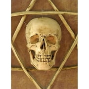 Wall Sconce, Life-Size Skull in Hexagram Bone Frame
