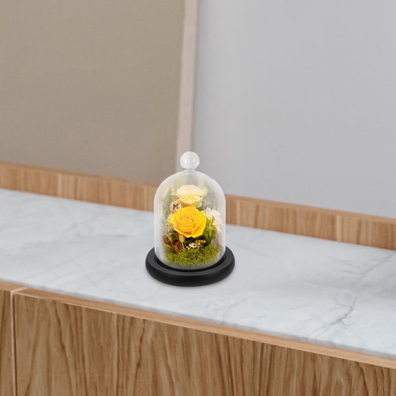 ADDHAT Glass Display Domes White 1Pc 5.9x3.9x3.9in