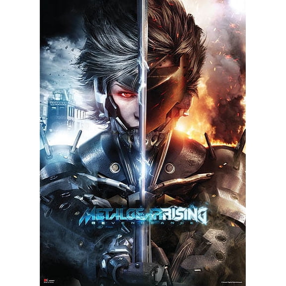 Wall Scroll - Metal Gear Rising - Raiden Fabric Poster Art New Licensed ge60081