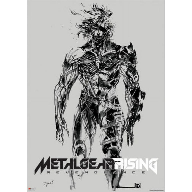 Raiden - Metal Gear Rising: Revengeance  Metal gear rising, Metal gear  series, Gear art