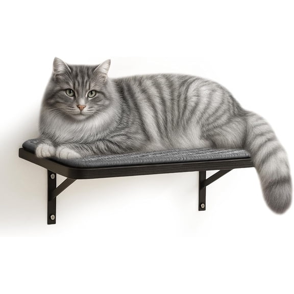 Wall Shelf Window Perch, Cats Bed Hammock with Pad, Shelf for Climbing Sleeping Playing,Black Furniture for Indoor Large Cats