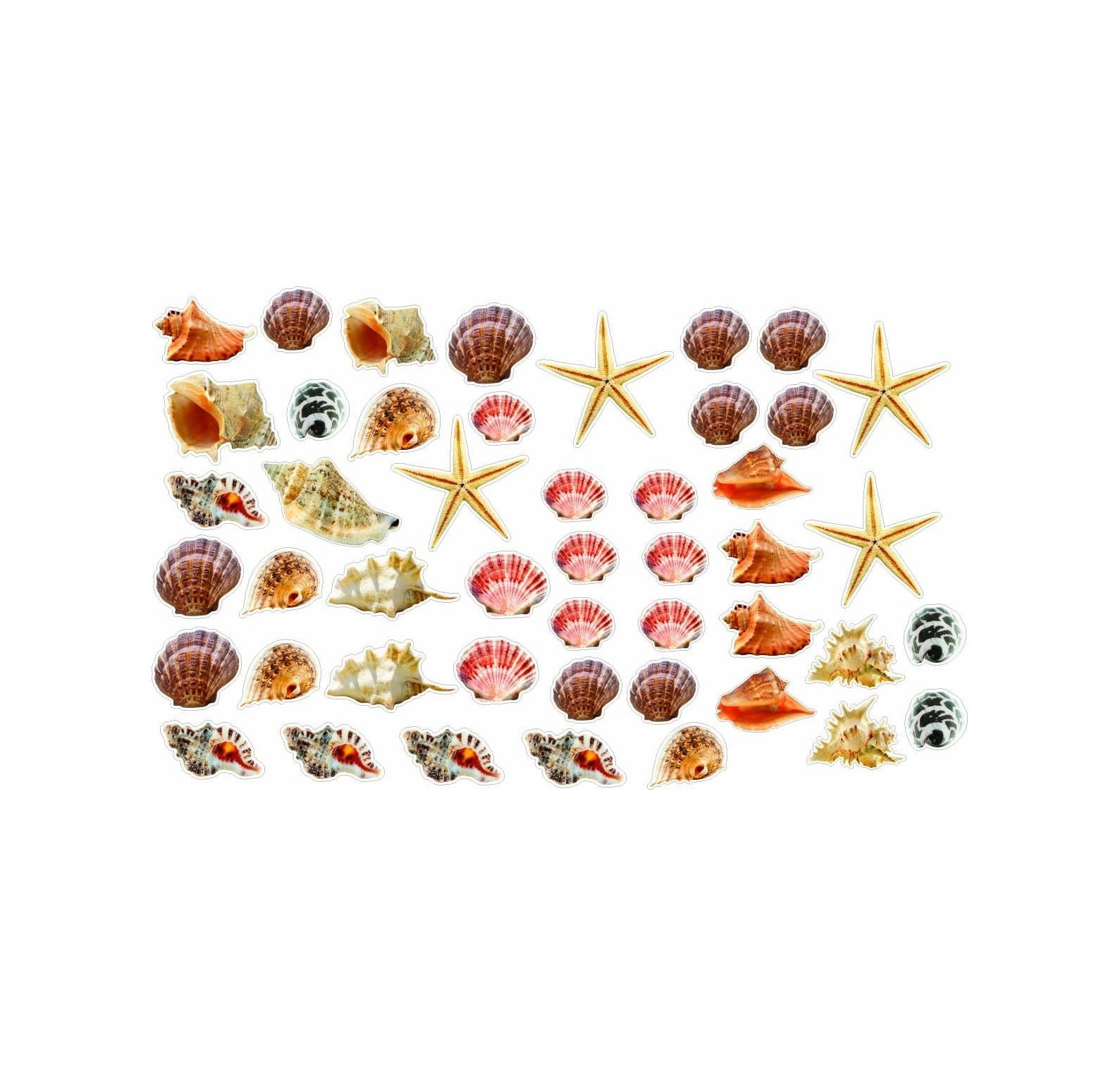 Wall Sticker Small Seashells and Starfish Colorful Removable and