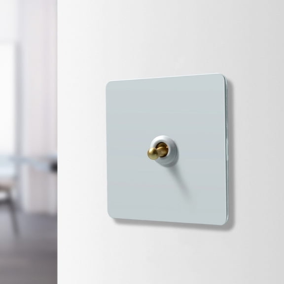Wall Toggle Light Switch with Fireproof Stainless Steel Panel and Brass Lever Offering Reliable Control for Incandescent and Energy Saving Lamps (1)