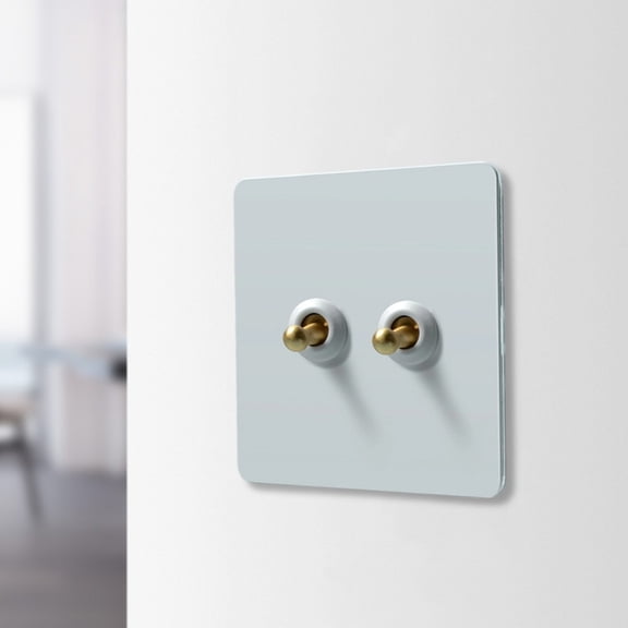 Wall Toggle Light Switch with Fireproof Stainless Steel Panel and Brass Lever Offering Reliable Control for Incandescent and Energy Saving Lamps (2)