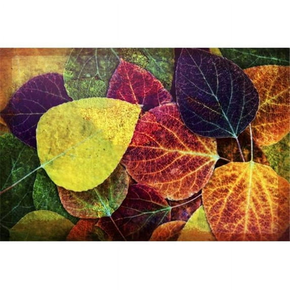 Wall art of close up of fallen aspen tree leaves in Sierra Nevada region Bishop