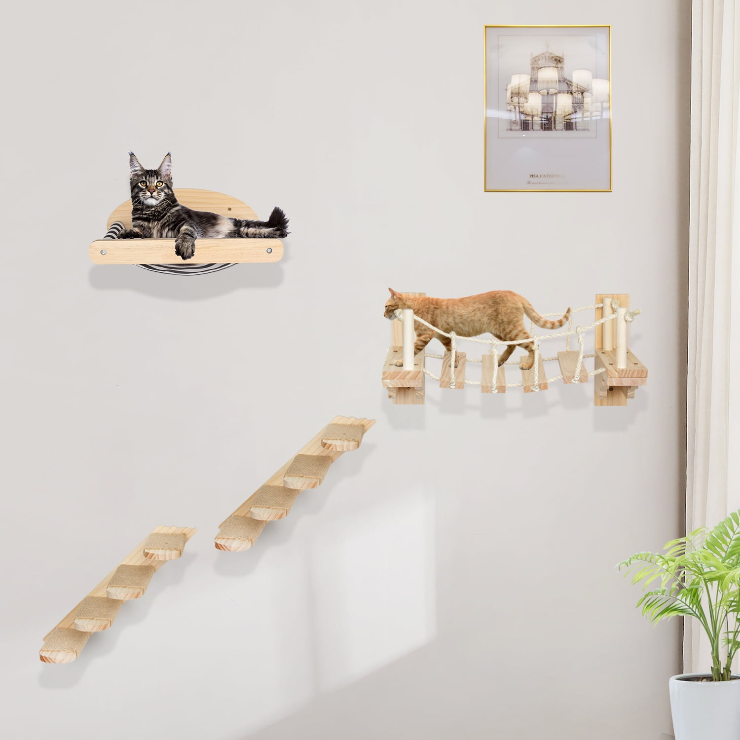Wallmounted Cat Shelf Set Climbing Frame Bridge Ladder Stair Cat