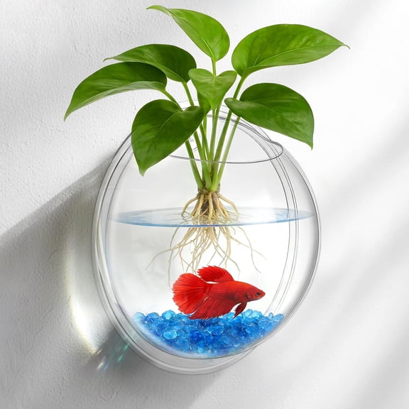 Wall mounted flower pot, hanging vase, suitable for plant propagation, air plants, suitable for home and office decoration