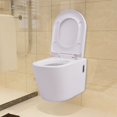 Wall mounted toilet ceramic white?