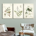 thumbnail image 1 of Wall26 3 Panel Canvas Wall Art - Vintage Style Plant Leaves and Flowers - Giclee Print Gallery Wrap Modern Home Decor Ready to Hang - 24"x36" x 3 Panels, 1 of 3
