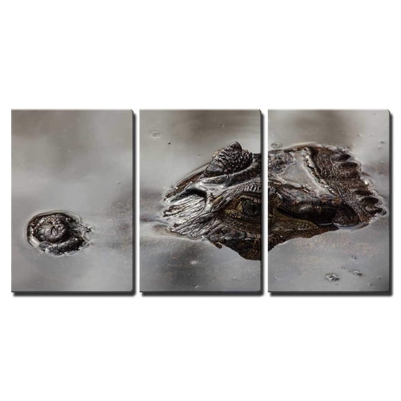 Wall26 3 Piece Canvas Wall Art - Alligator - Modern Home Decor Stretched and Framed Ready to Hang - 24"x36"x3 Panels