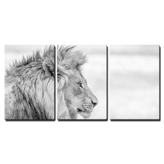 Wall26 - 3 Piece Canvas Wall Art - Side Profile of a Lion in Black and White in The Kruger National Park, South Africa. - Modern Home Decor Stretched and Framed Ready to Hang - 16"x24"x3 Panels