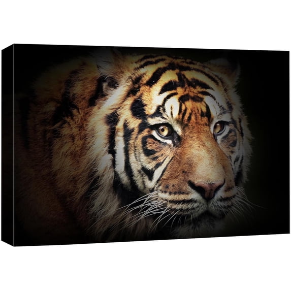 Wall26 Canvas Print Wall Art Bengal Tiger Portrait Nature Wilderness Photography Realism Modern Art Decora Multicolor Rustic Unframed Artwork for Bedroom - 24"x36"