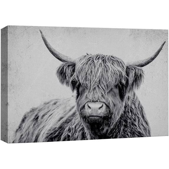 Wall26 Canvas Print Wall Art Black & White Shetland Cow Portrait Nature Wilderness Photography Realism Modern Art Decora Multicolor Rustic Unframed Artwork for Bedroom - 32"x48"