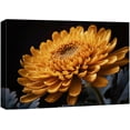 thumbnail image 1 of Wall26 Canvas Print Wall Art Gerbera Daisy Flower Print Closeup Nature Wilderness Photography Realism Modern Art Decorative Rustic Minimal Flora Wall Art Decor for Bedroom/Office - 32"x48", 1 of 5