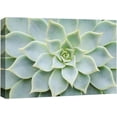 thumbnail image 1 of Wall26 Canvas Print Wall Art Green Rose Succulent Wall Print Nature Wilderness Photography Home Decor Realism Floral Botanical Southwest Rustic Countryside Desert Landscape for Bedroom - 32"x48", 1 of 5