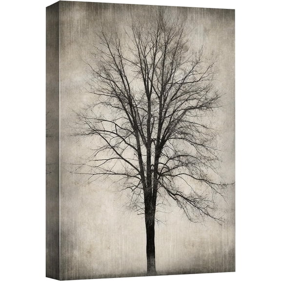 Wall26 Canvas Print Wall Art Moody Dark Winter Forest Tree Art Country Nature Wilderness Black & White Grunge Garden Print Modern Plant Botanical Art Decorative for Living Room - 12"x18"