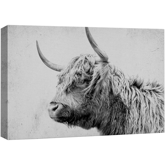 Wall26 Canvas Print Wall Art Side Profile Farmhouse Shetland Cow Nature Wilderness Photography Realism Modern Art Decora Multicolor Rustic Unframed for Bedroom - 32"x48"
