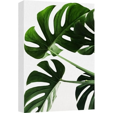 Wall26 Canvas Print Wall Art Tropical Monstera Leaf Print Nature Wilderness Photography Home Decor Realism Floral Botanical Southwest Rustic Countryside Desert Landscape For Bedroom - 12"x18"