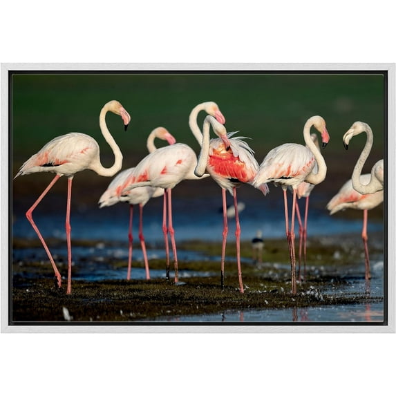 Wall26 Canvas Print Wall Art Vibrant Pink Flamingos Safari Jungle Nature Wilderness Animals Photography Realism Modern Framed Art Decora Multicolor Rustic for Bedroom - 16"x24" White