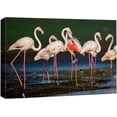 thumbnail image 1 of Wall26 Canvas Print Wall Art Vibrant Pink Flamingos Safari Jungle Nature Wilderness Photography Realism Modern Art Decora Multicolor Rustic Unframed for Bedroom - 32"x48", 1 of 5