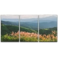 thumbnail image 1 of Wall26 Canvas Wall Art Set of 3 Green Mountain Flower Field Nature Wilderness Photography Realism Decorative Landscape Prints Rustic Country/Farmhouse Wall Decora - Unframed 24"x36"x3, 1 of 5