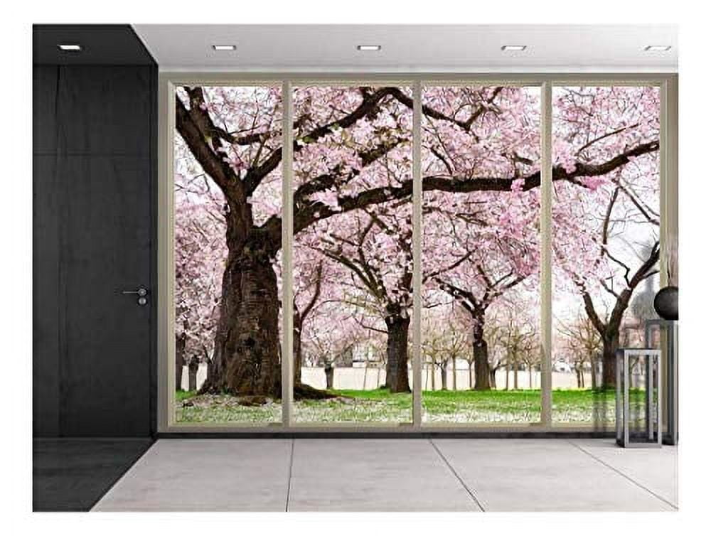 Wall26 - Petals Falling from Cherry Blossom Trees Viewed from Sliding ...