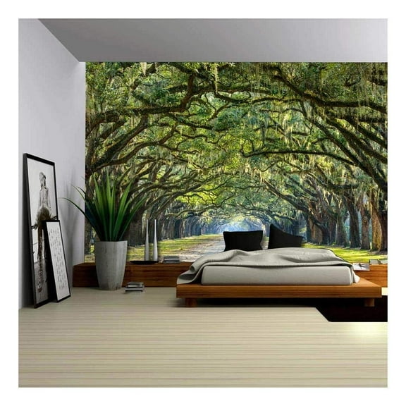 Wall26 Tree Covered Pathway Through Forest - Wall Mural - 66x96 inches