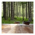 thumbnail image 1 of Wall26 - Tree Trunks in a Beautiful Green Forest - Landscape - Wall Mural, Removable Sticker, Home Decor - 100x144 inches, 1 of 5
