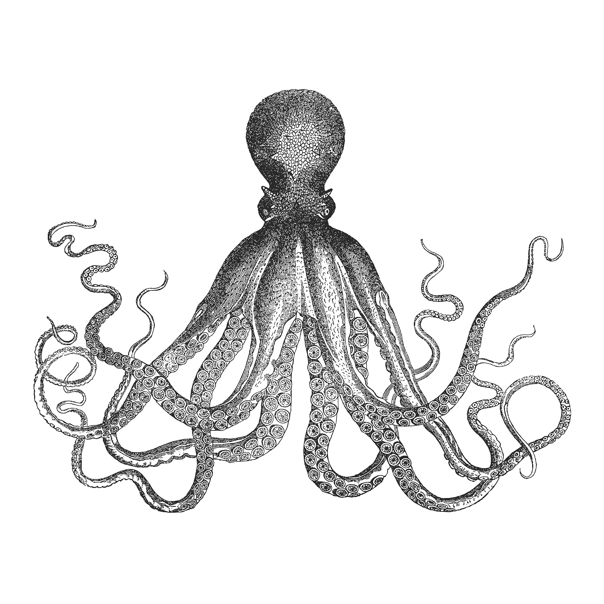 Black and White Nautical Octopus Wall Decal