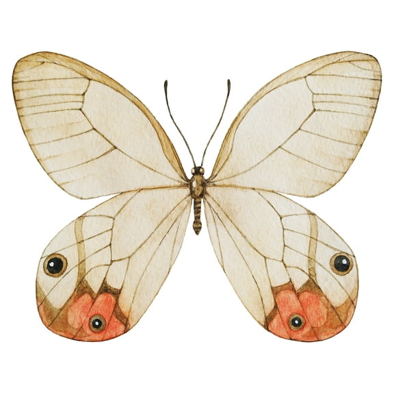 WallPops Butterfly Headboard Wall Decal