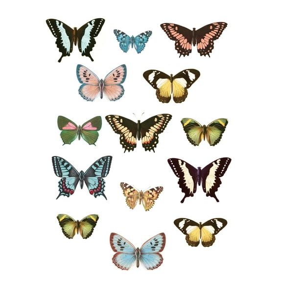 WallPops! Spread Your Wings Wall Decals Art Kit