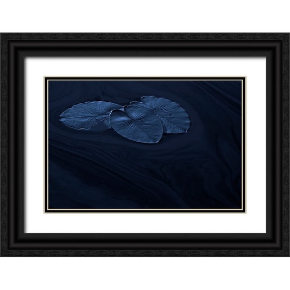 Wallberg, Allan 14x11 Black Ornate Wood Framed with Double Matting Museum Art Print Titled - Leaf