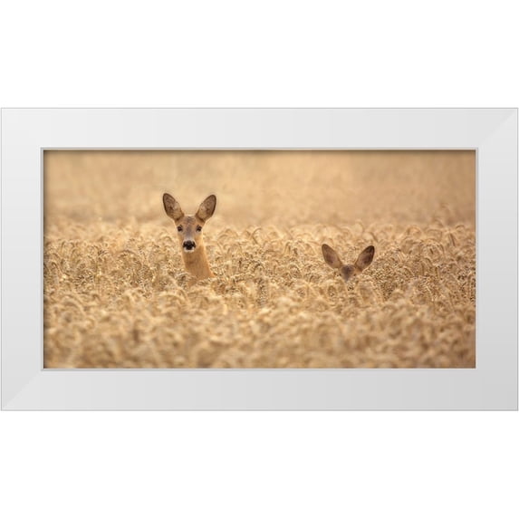 Wallberg, Allan 24x14 White Modern Wood Framed Museum Art Print Titled - Mother With Child