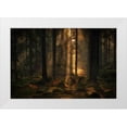 thumbnail image 1 of Wallberg, Allan 24x17 White Modern Wood Framed Museum Art Print Titled - The Light In The Forest, 1 of 4