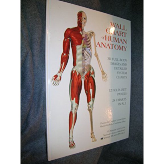 Pre-Owned Wallchart of Human Anatomy: 3 D Full-Body Images, Detailed System Charts