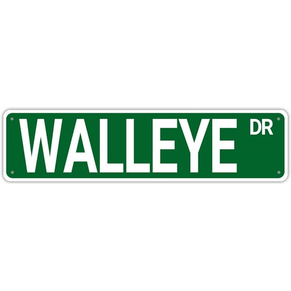 Walleye Fish Dr Street Sign Metal Tin Sign Walleye Decor Gift Funny Wall Decor for Home/Man Cave/Garage/Bar Indoor/Outdoor 4x16 Inch